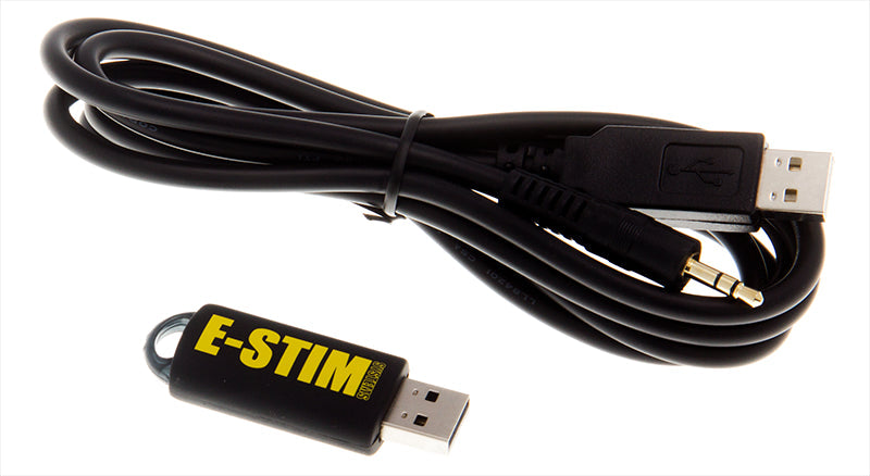 Image showing the digital link interface and memory stick.