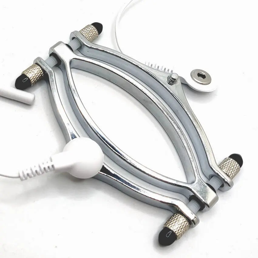 Image showing the pussy clamp electrode and cables