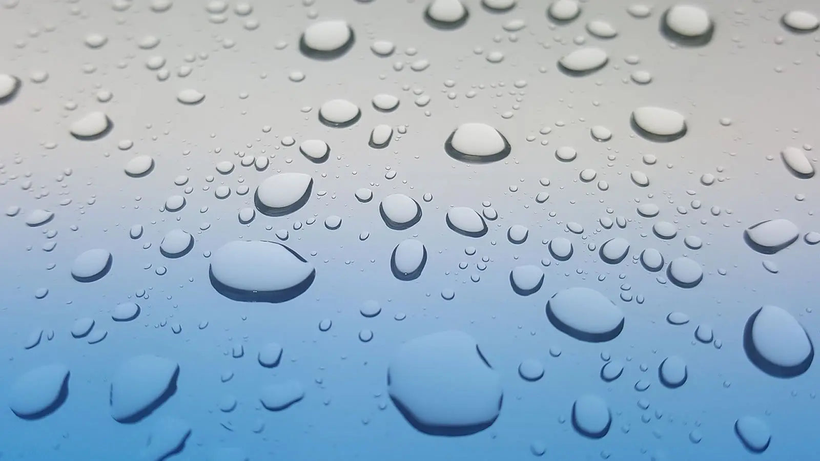 Image showing beads of liquid on a glass surface