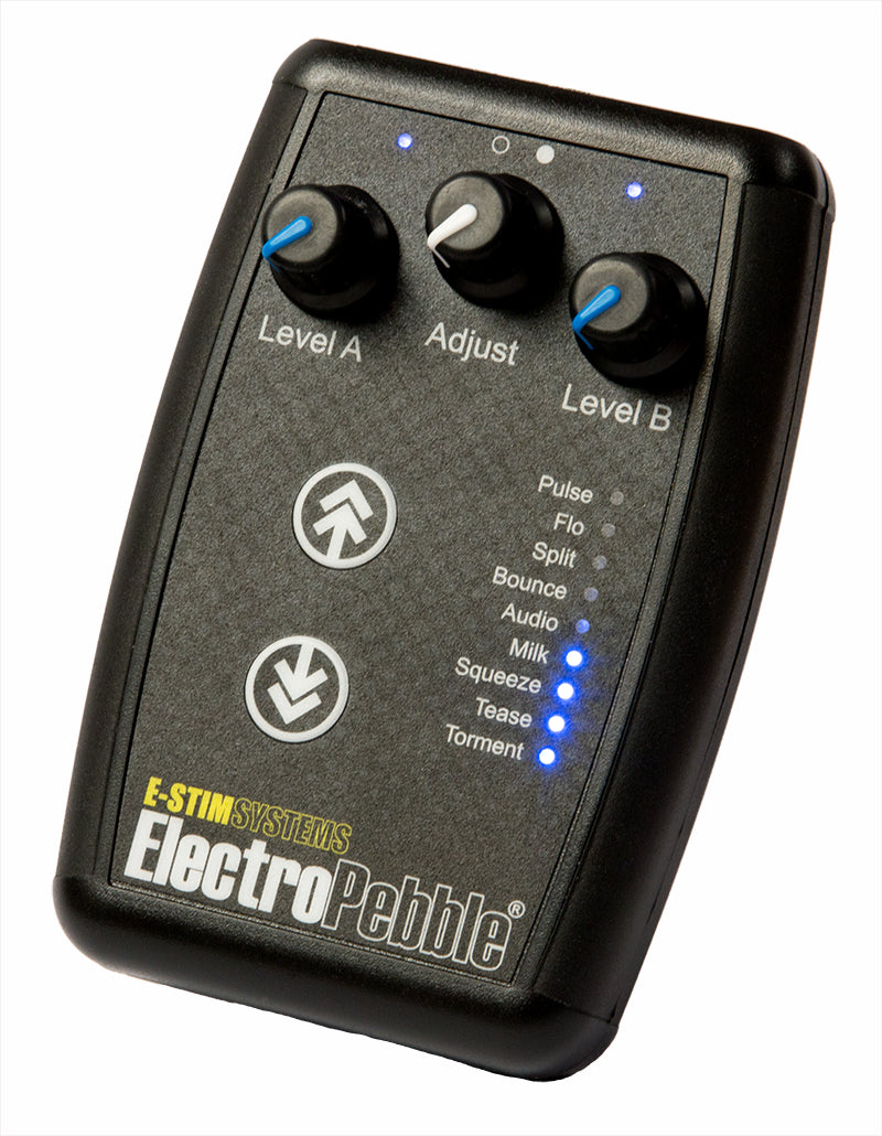 Image showing the ElectroPebble XPF