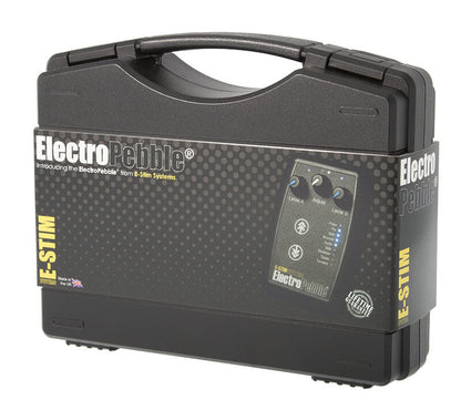 Image showing the ElectroPebble storage case.