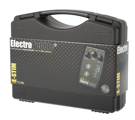 Image showing the ElectroPebble storage case.