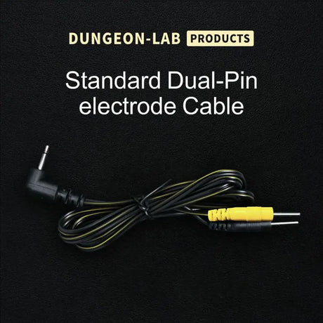Standard Dual-Pin electrode cable with Dungeon-Lab Products branding on a black background