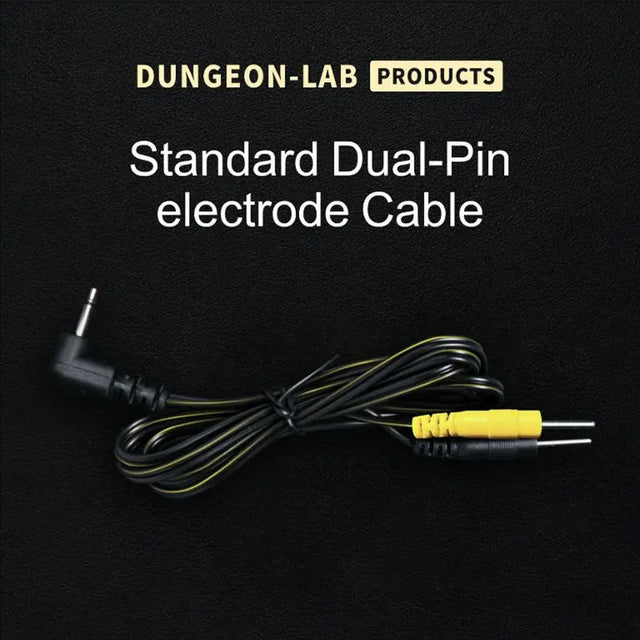 Standard Dual-Pin electrode cable with Dungeon-Lab Products branding on a black background