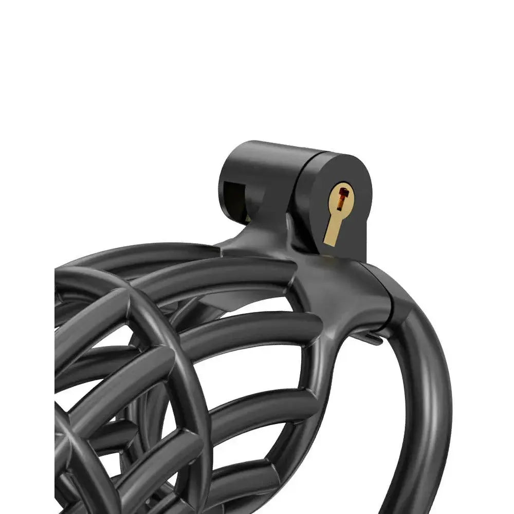 Rimba P-Cage PC06 Large Black Rimba BDSM Kit